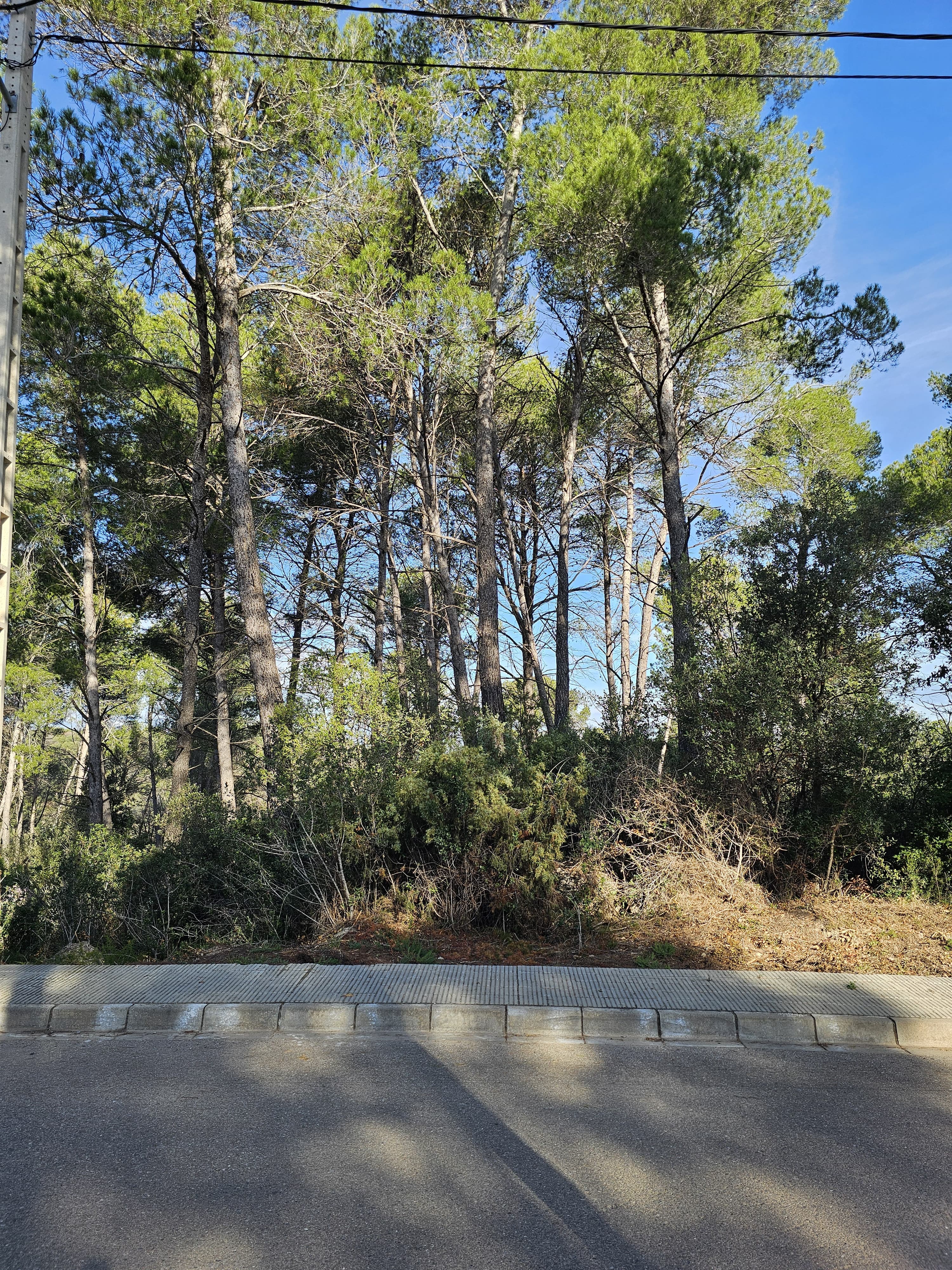 Imatge de Solar urbà al Castell de Cabrera: una oportunitat única