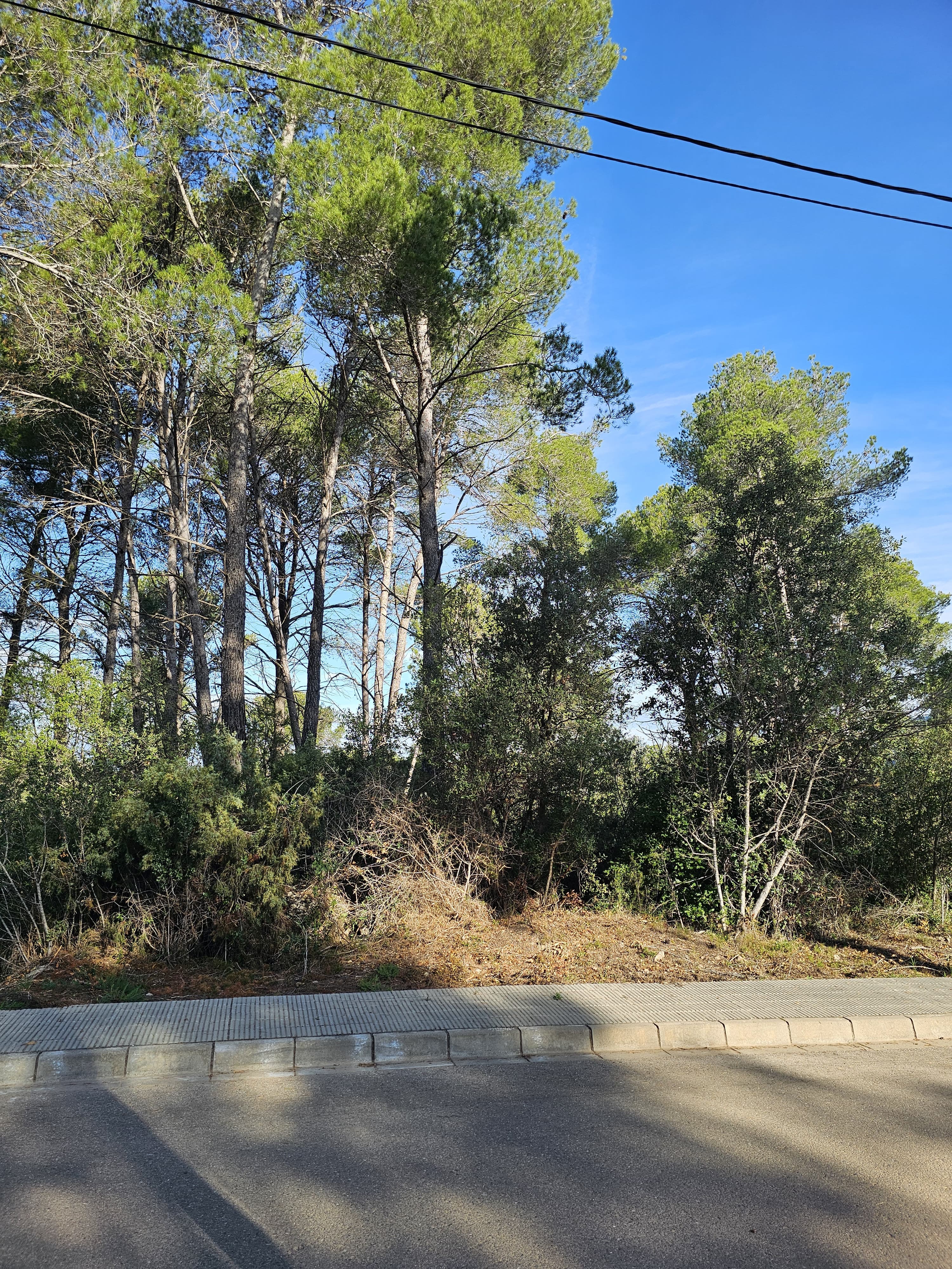 Imatge de Solar urbà al Castell de Cabrera: una oportunitat única