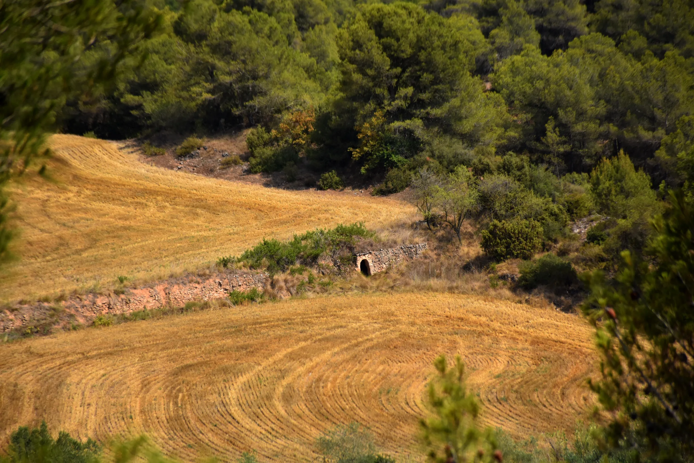 Paisatge rural de Carme, a l’Anoia